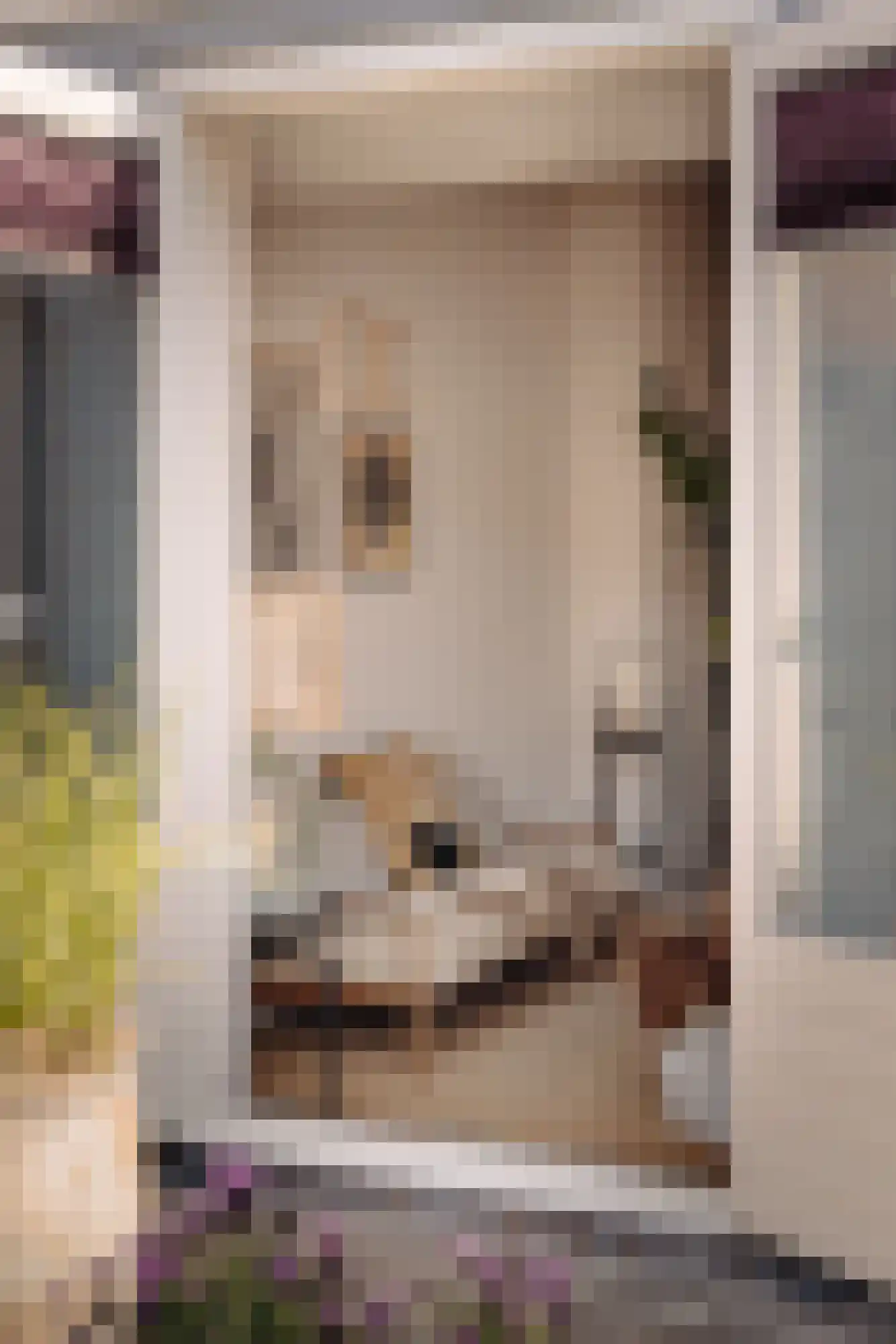 Watteaustraat 20 2 Amsterdam thumbnail 24
