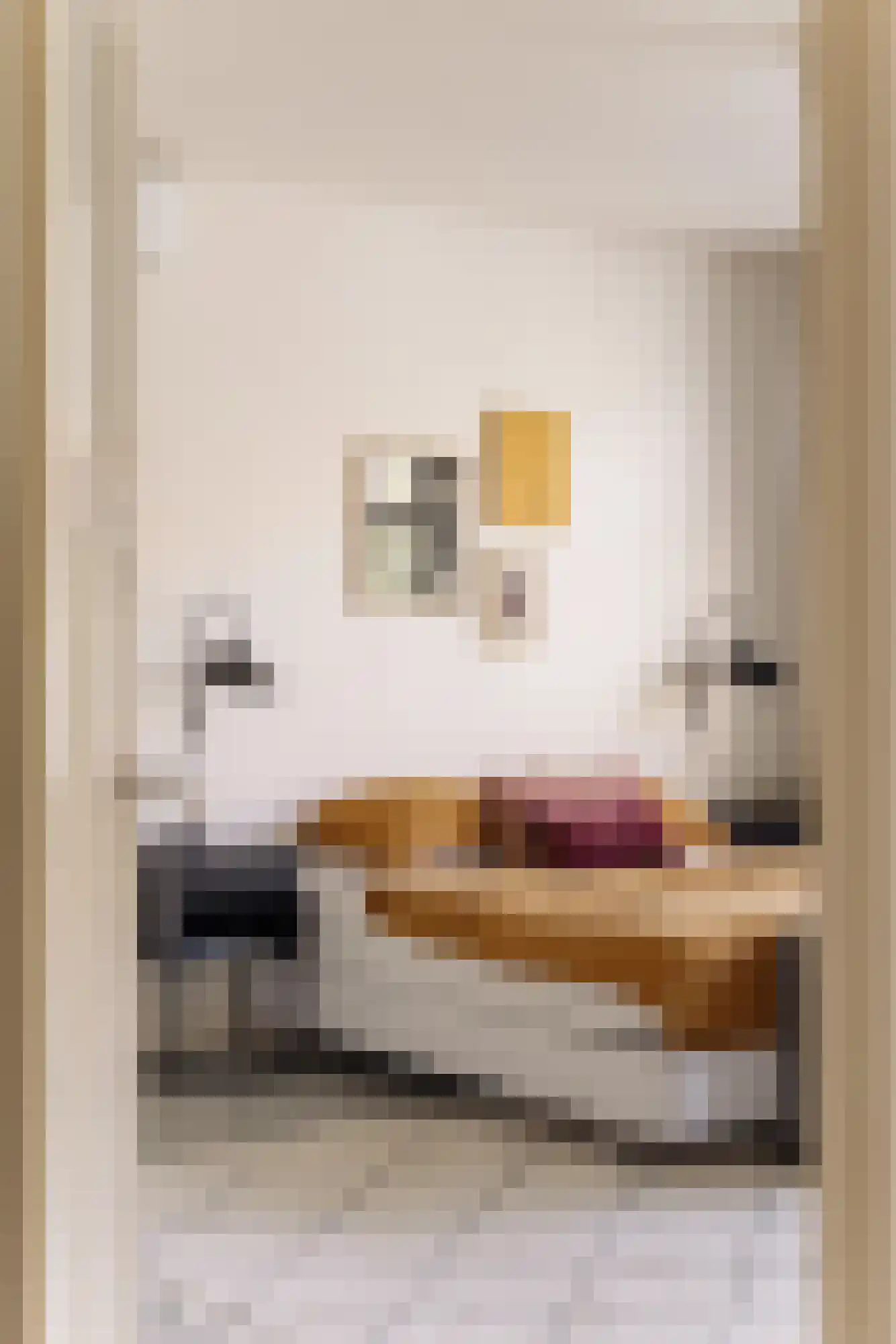 Watteaustraat 20 2 Amsterdam thumbnail 27