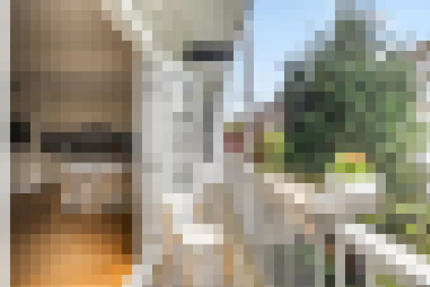 Watteaustraat 20 2 Amsterdam thumbnail 27