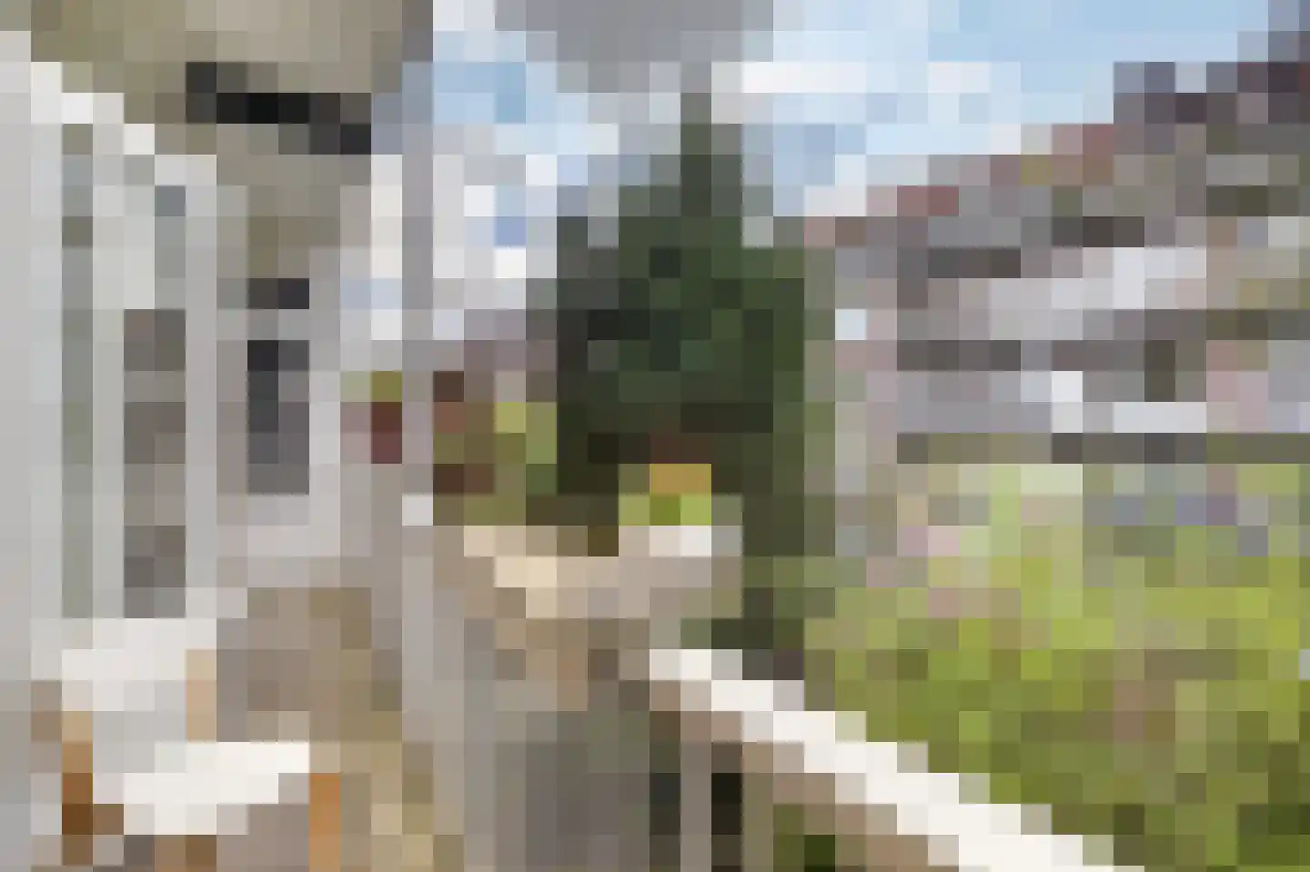 Watteaustraat 20 2 Amsterdam thumbnail 28