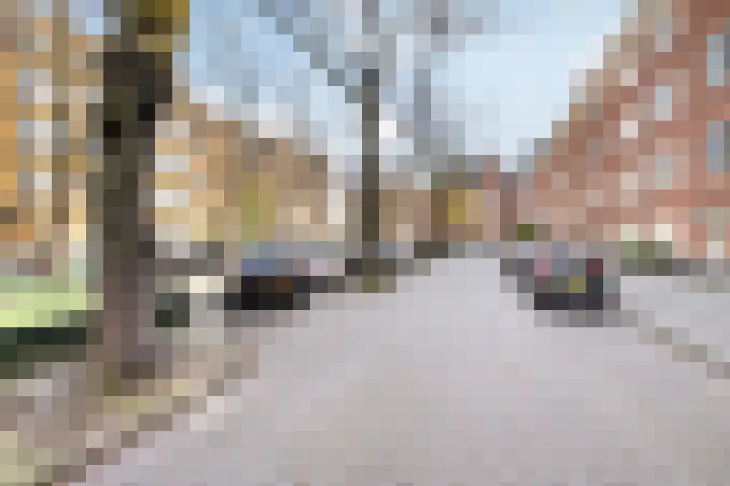 Watteaustraat 20 2 Amsterdam thumbnail 35