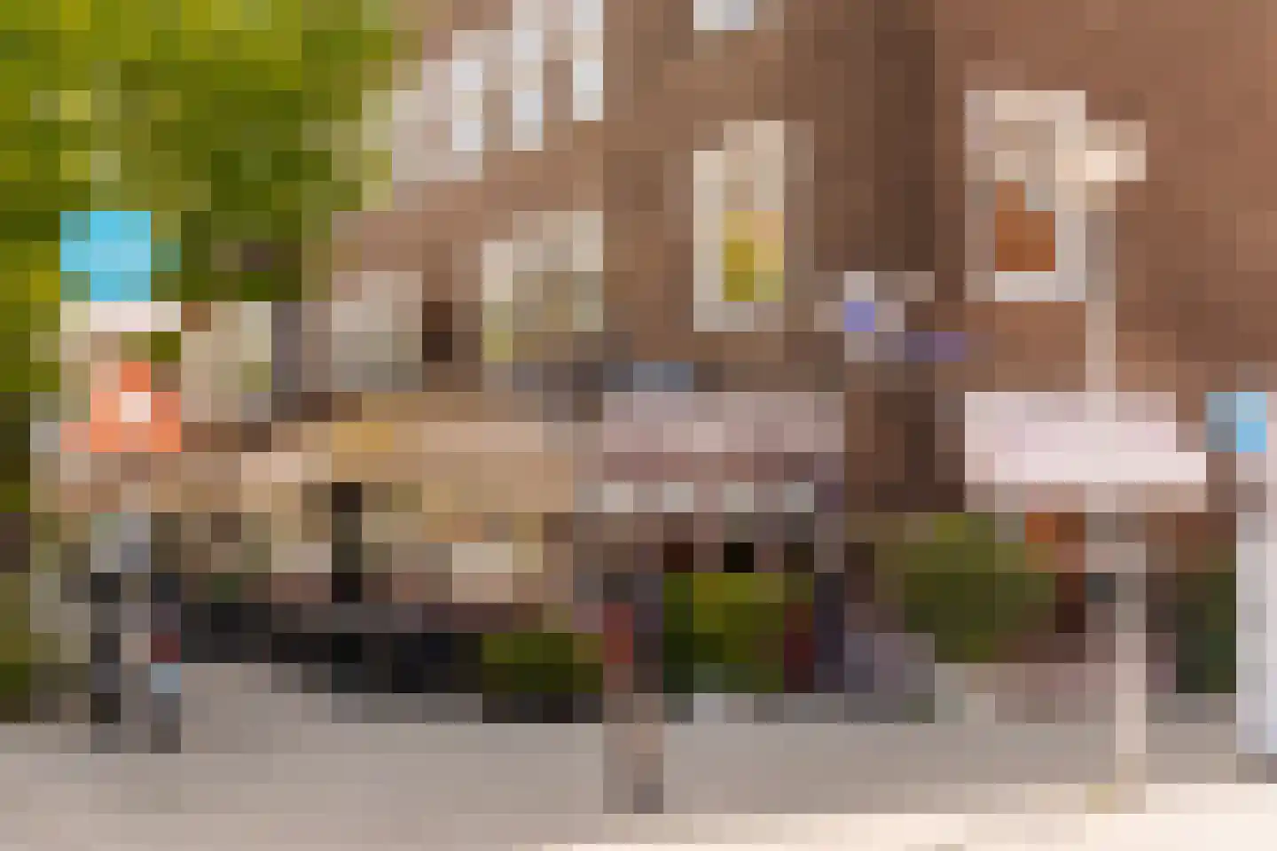 Watteaustraat 20 2 Amsterdam thumbnail 40
