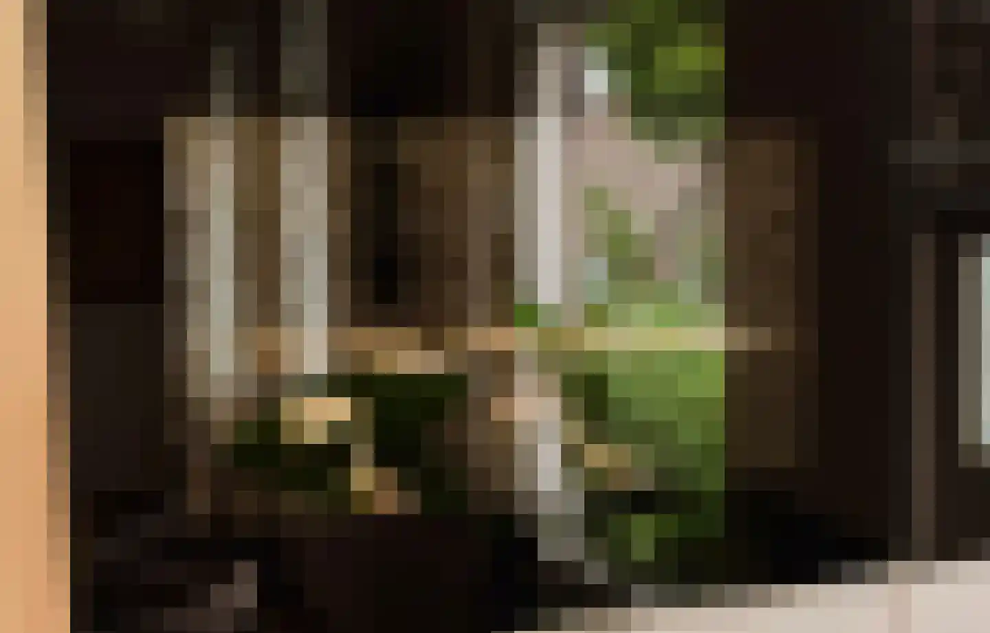 Watteaustraat 22 3 Amsterdam thumbnail 11