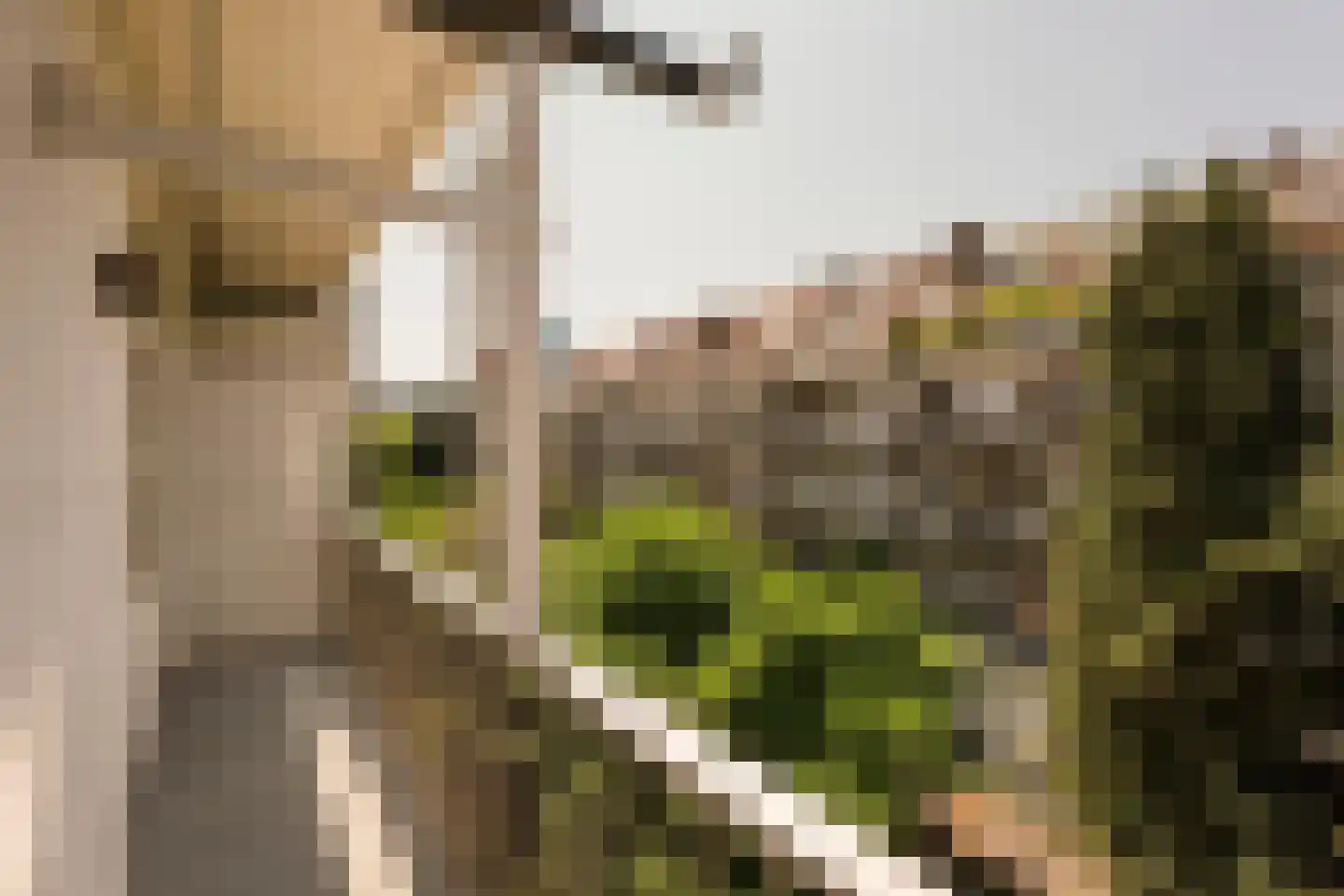 Watteaustraat 22 3 Amsterdam thumbnail 13