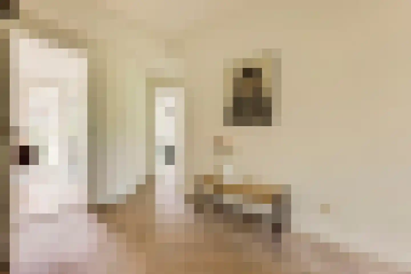 Watteaustraat 22 3 Amsterdam thumbnail 14