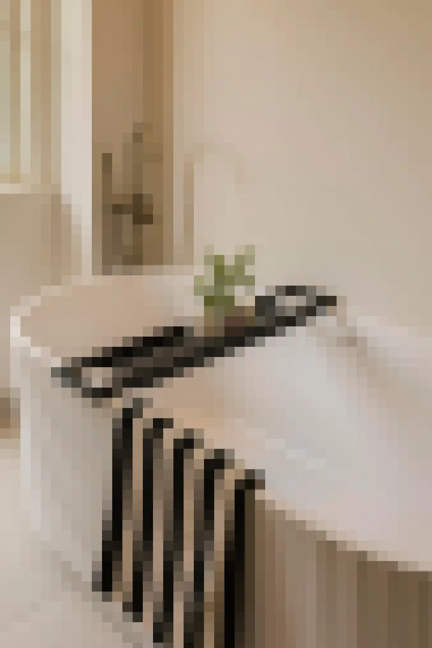 Watteaustraat 22 3 Amsterdam thumbnail 19