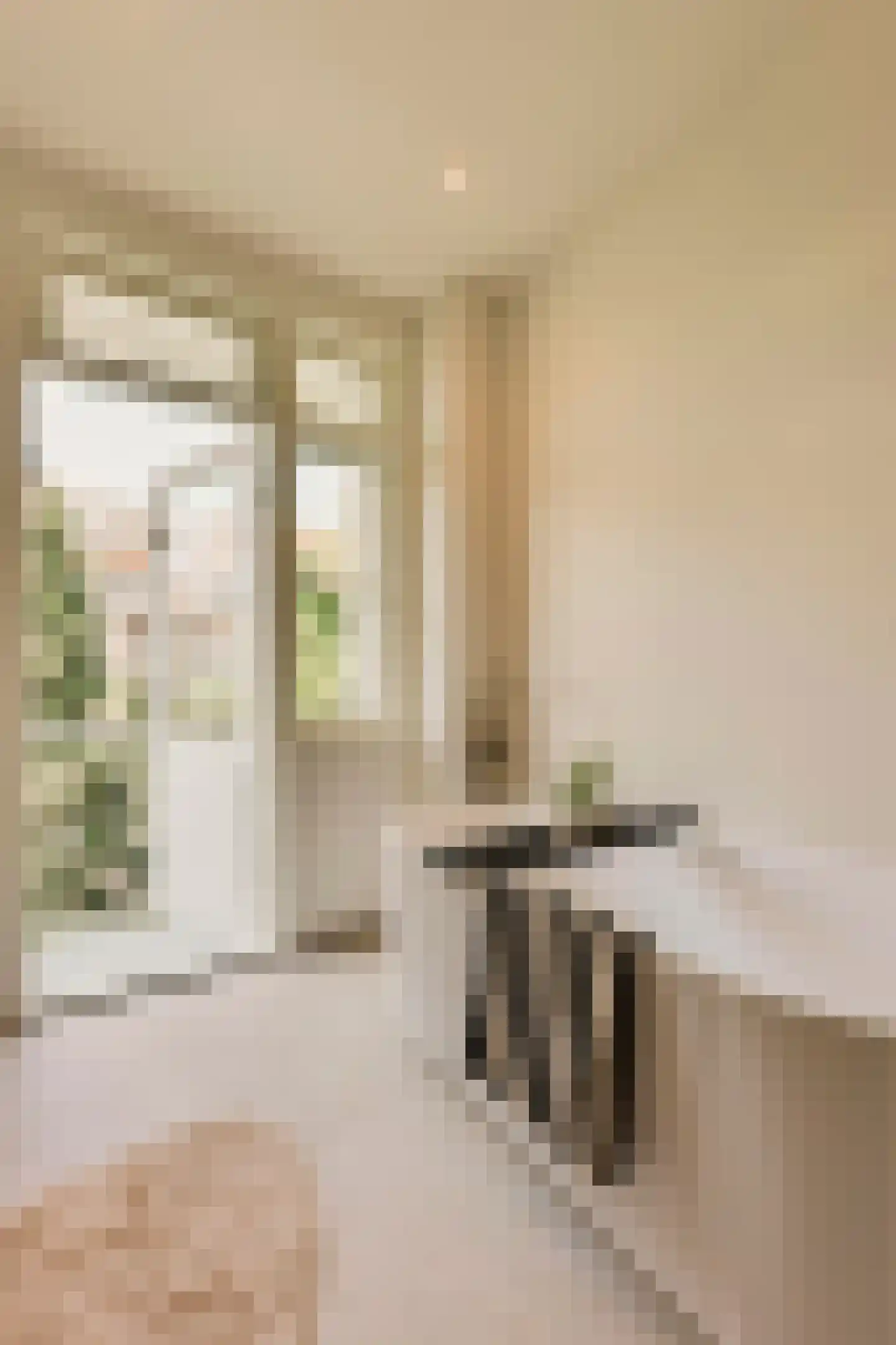 Watteaustraat 22 3 Amsterdam thumbnail 20