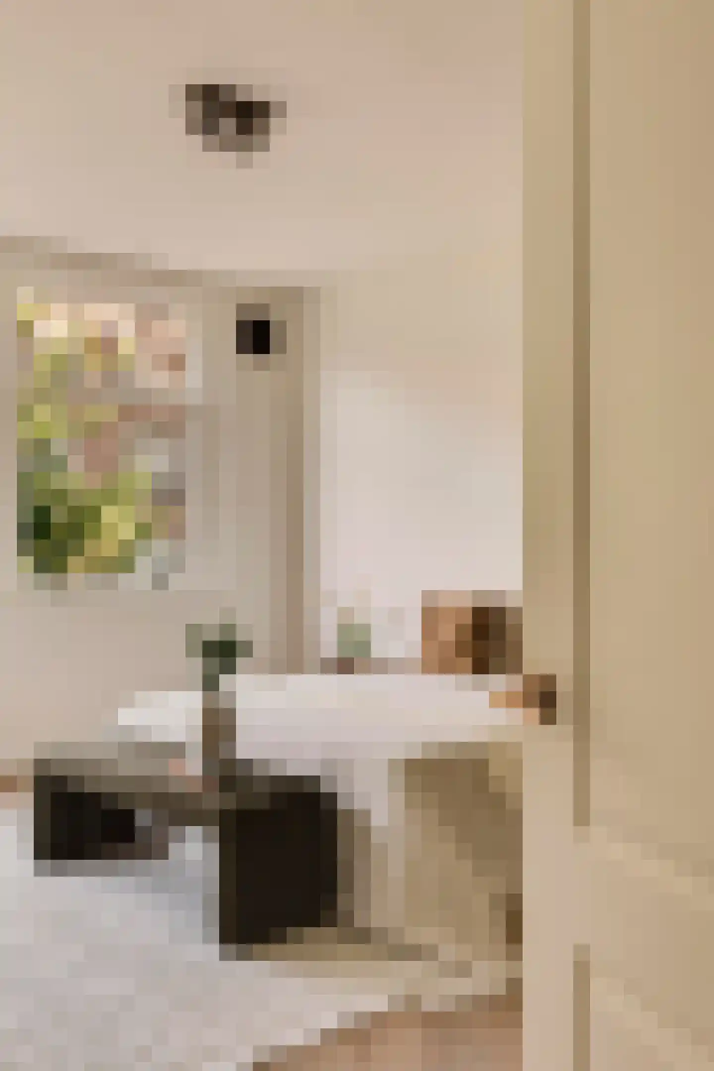 Watteaustraat 22 3 Amsterdam thumbnail 23