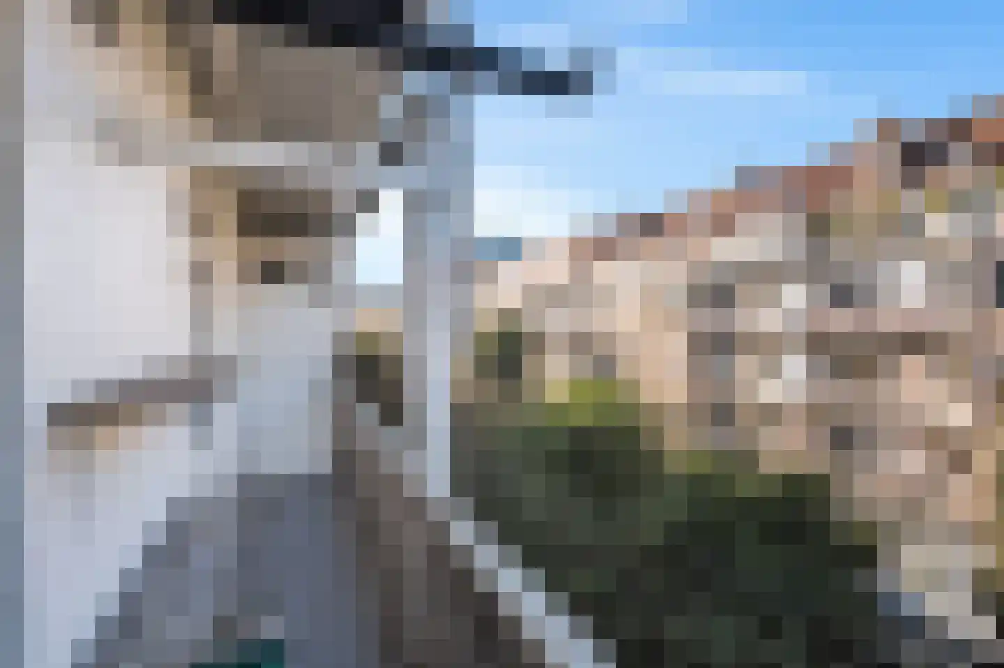 Watteaustraat 22 3 Amsterdam thumbnail 24