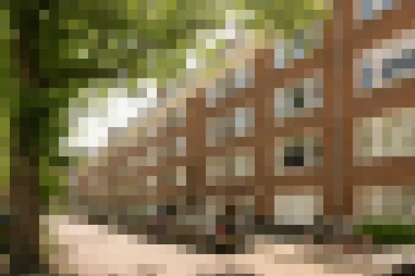 Watteaustraat 22 3 Amsterdam thumbnail 29