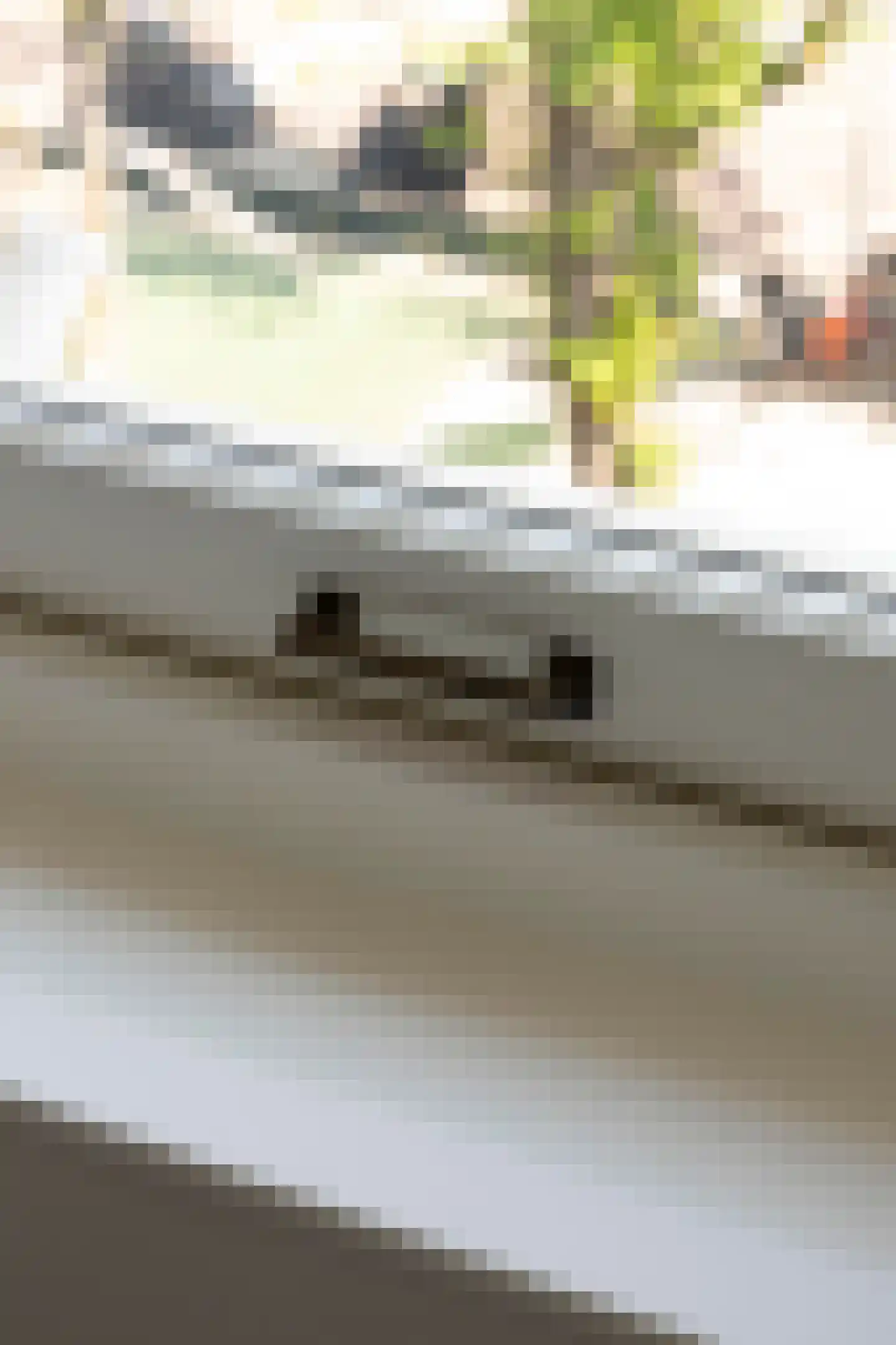 Watteaustraat 22 3 Amsterdam thumbnail 6