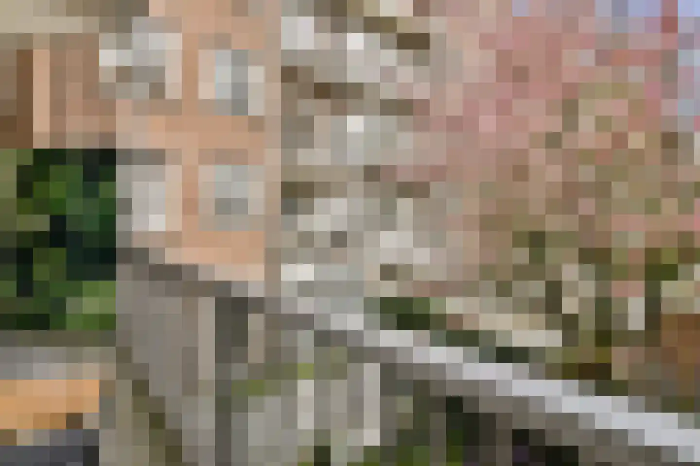 Watteaustraat 3 2 Amsterdam thumbnail 18