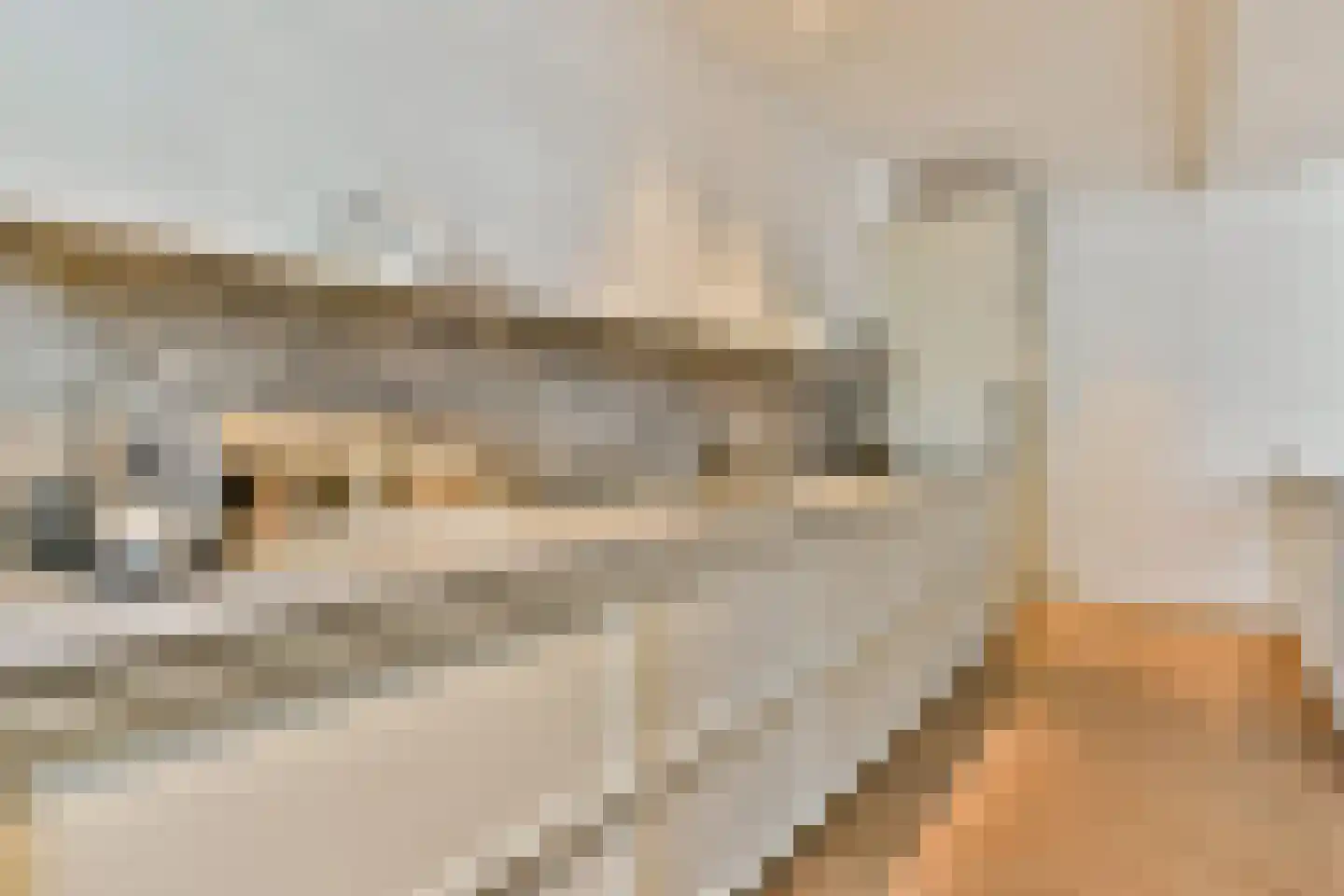 Watteaustraat 3 2 Amsterdam thumbnail 7