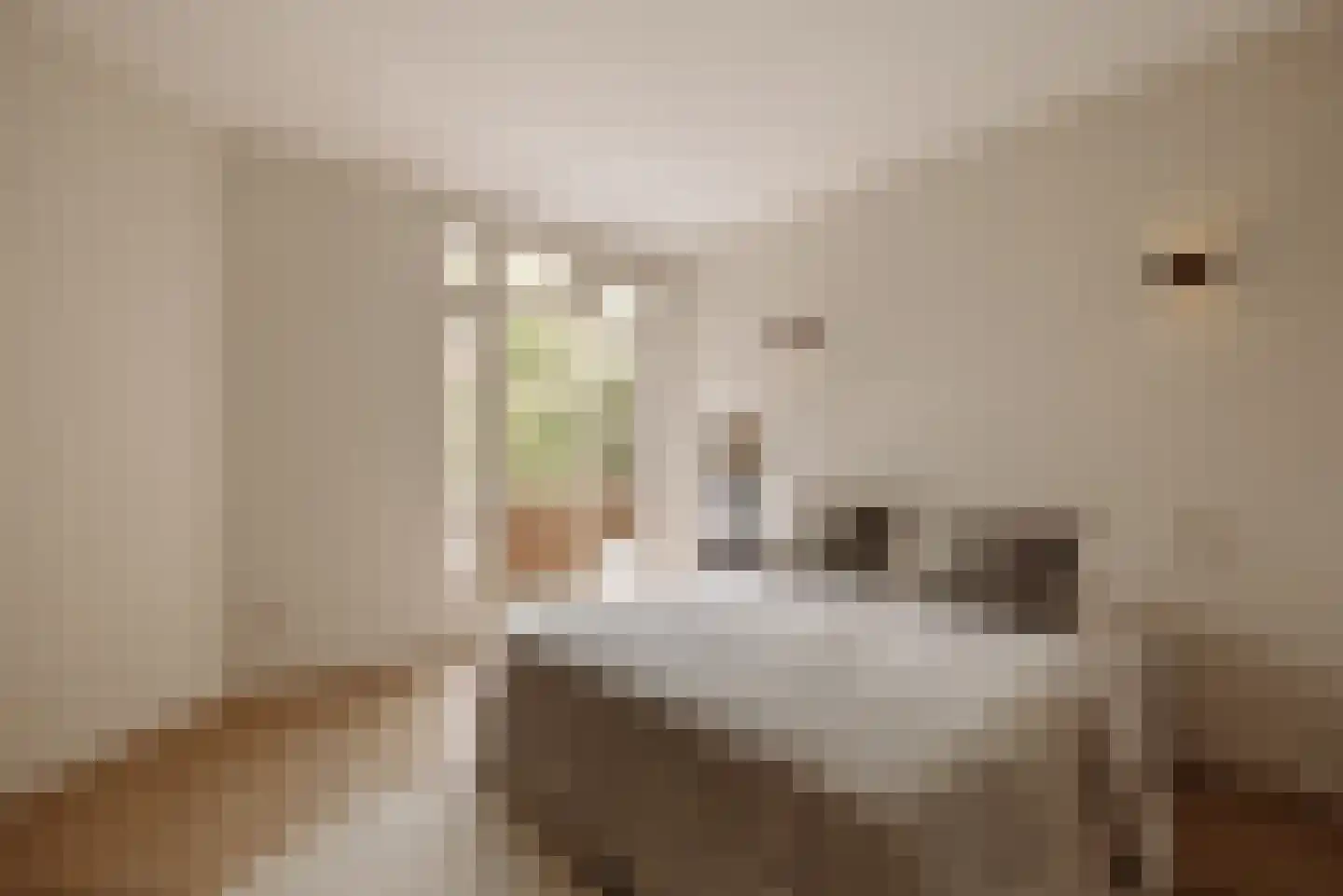 Watteaustraat 6 3 Amsterdam thumbnail 17
