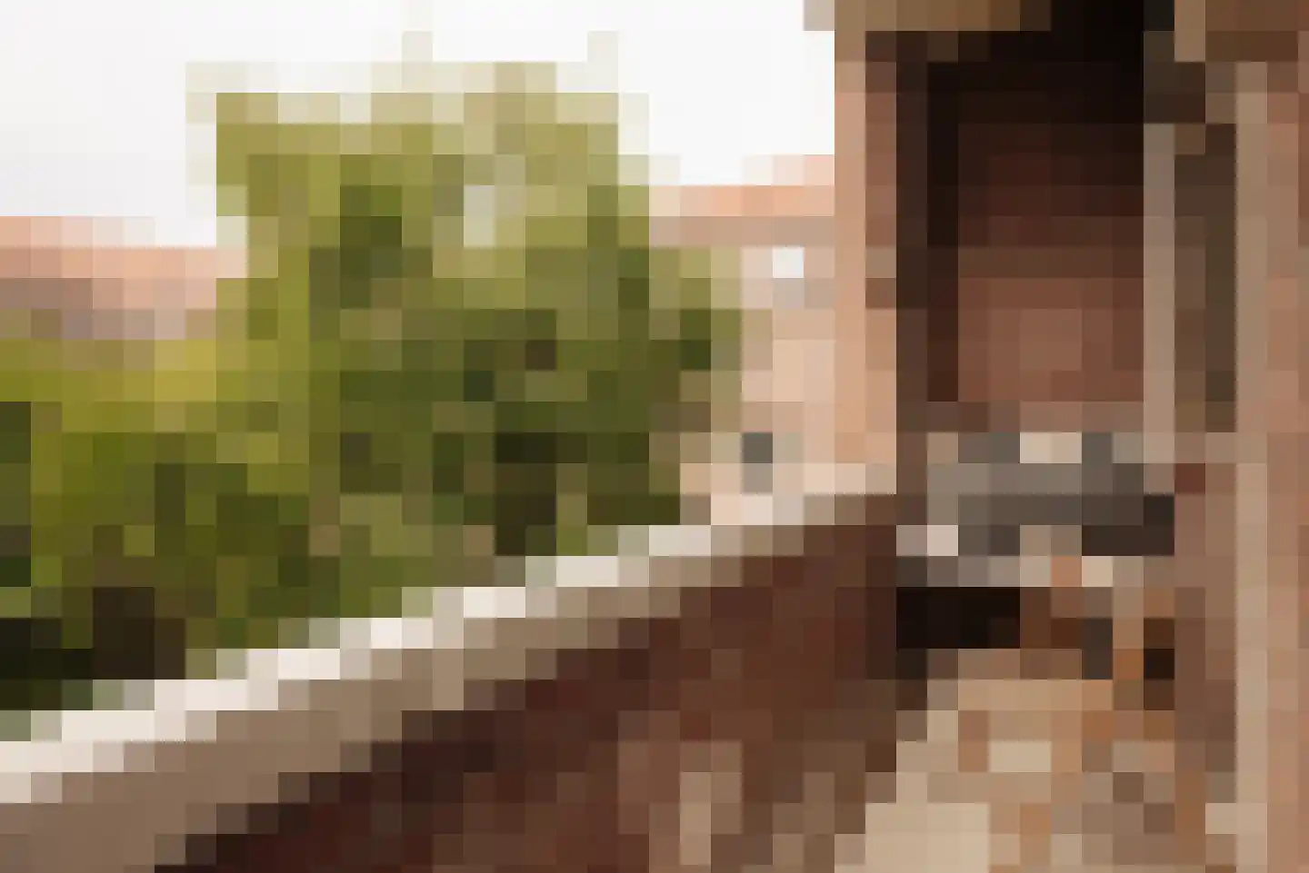 Watteaustraat 6 3 Amsterdam thumbnail 18
