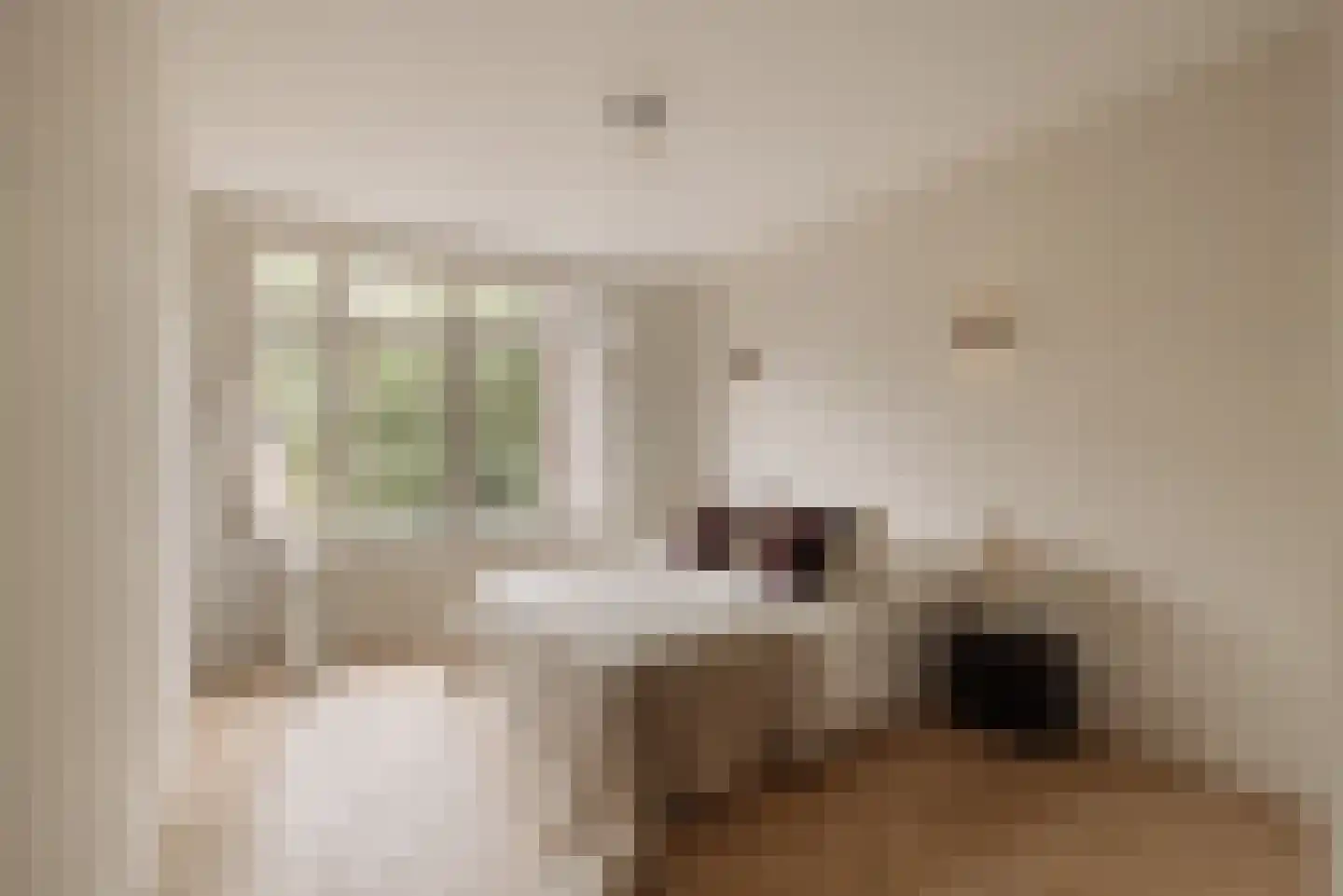 Watteaustraat 6 3 Amsterdam thumbnail 19
