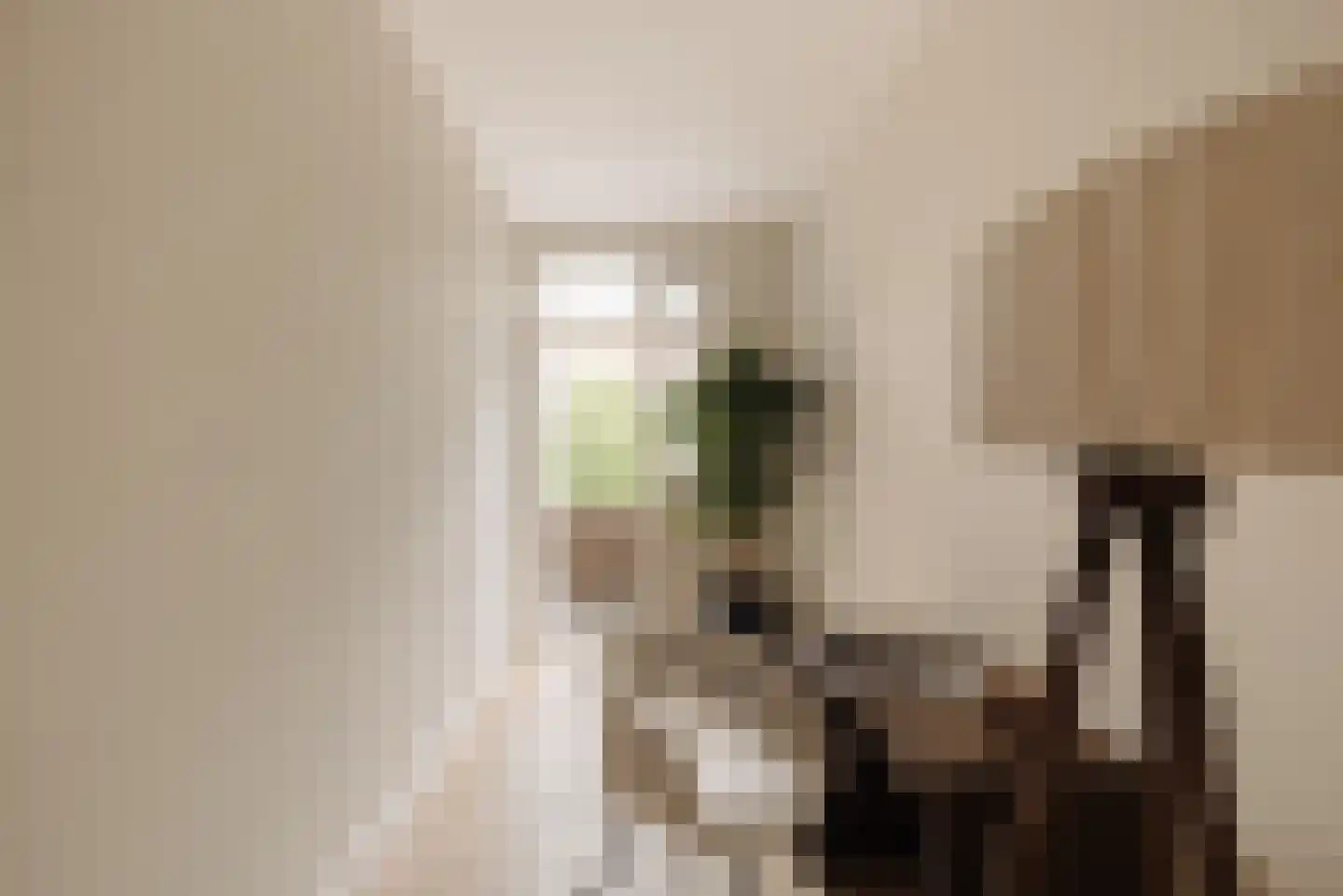 Watteaustraat 6 3 Amsterdam thumbnail 21