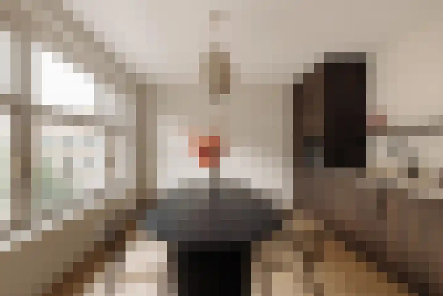 Watteaustraat 6 3 Amsterdam thumbnail 7