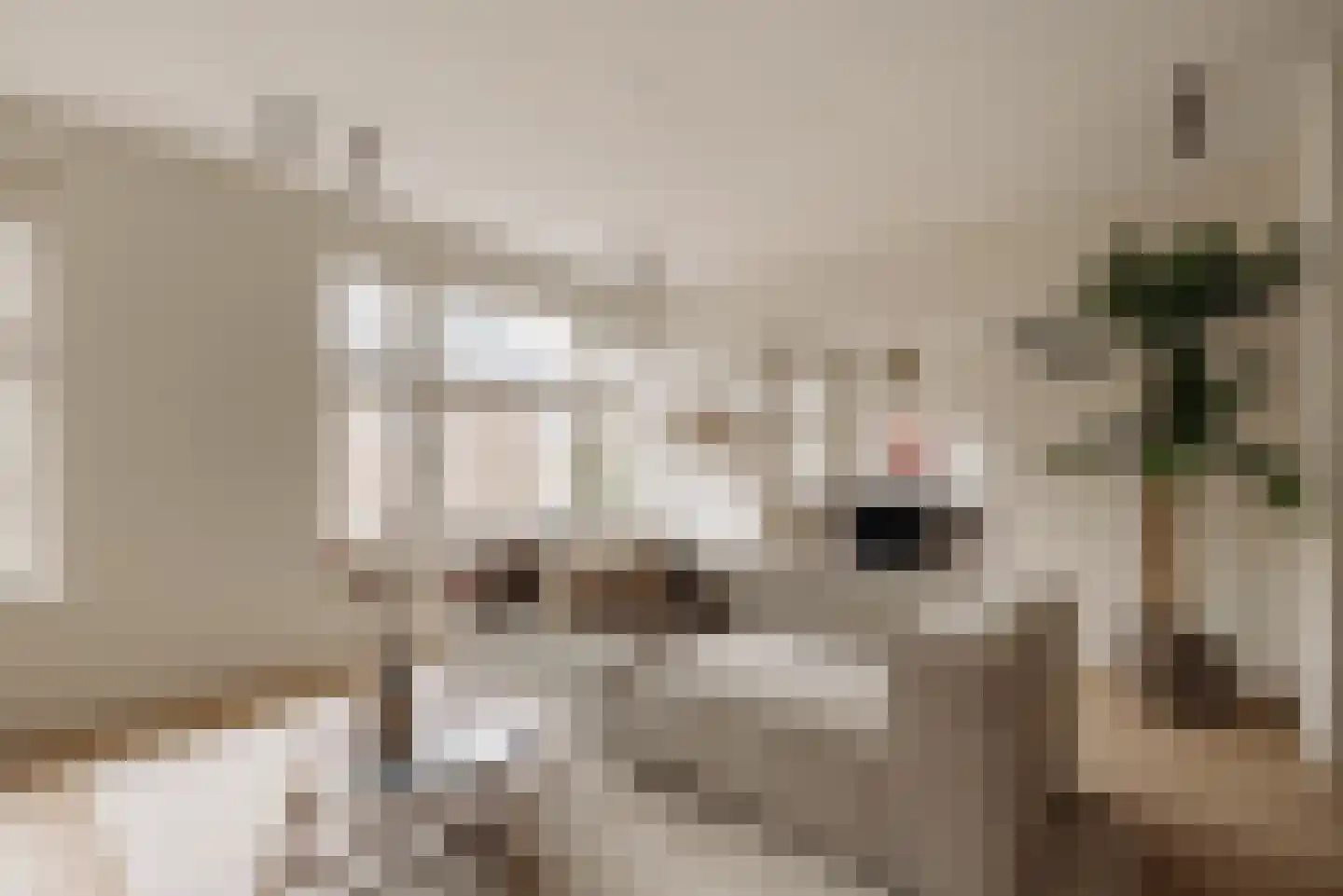 Watteaustraat 6 3 Amsterdam thumbnail 9
