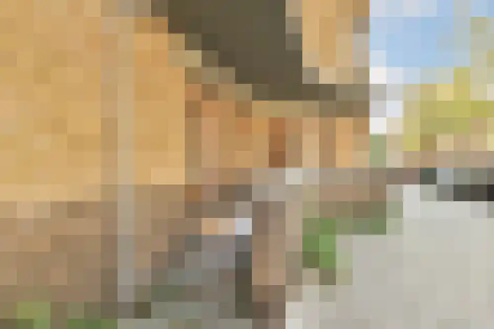 Watteaustraat 9 Amsterdam thumbnail 9