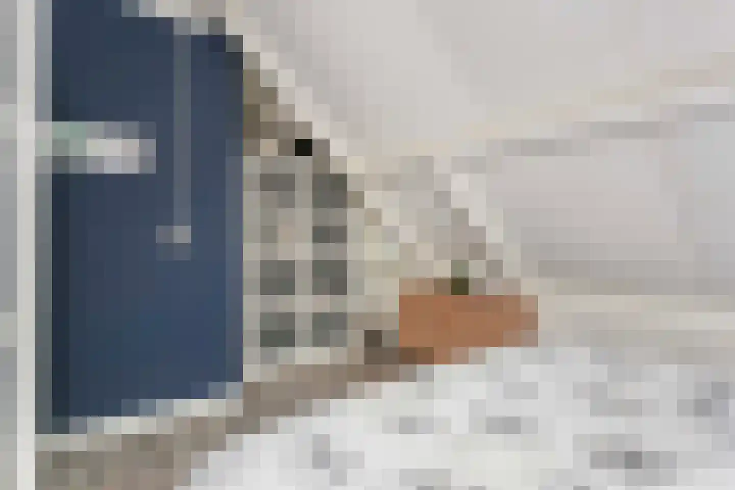 Wattlaan 11 BS Utrecht thumbnail 19