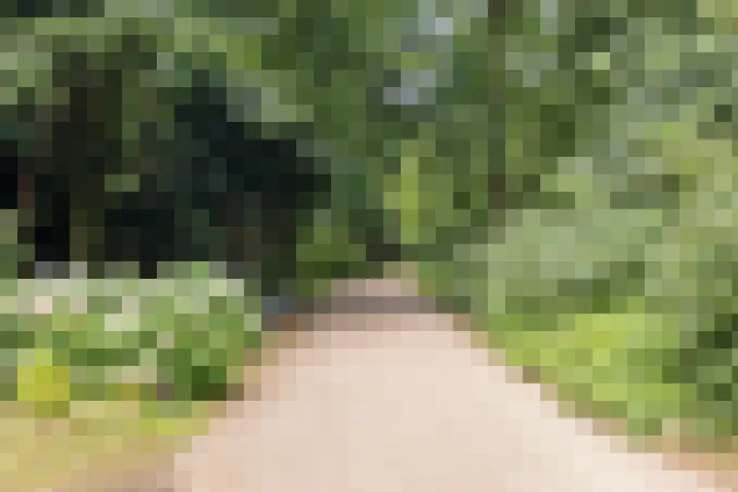 Wattlaan 11 BS Utrecht thumbnail 37