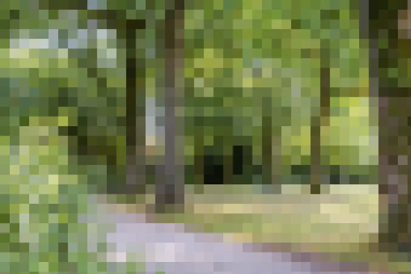 Wattlaan 11 BS Utrecht thumbnail 42