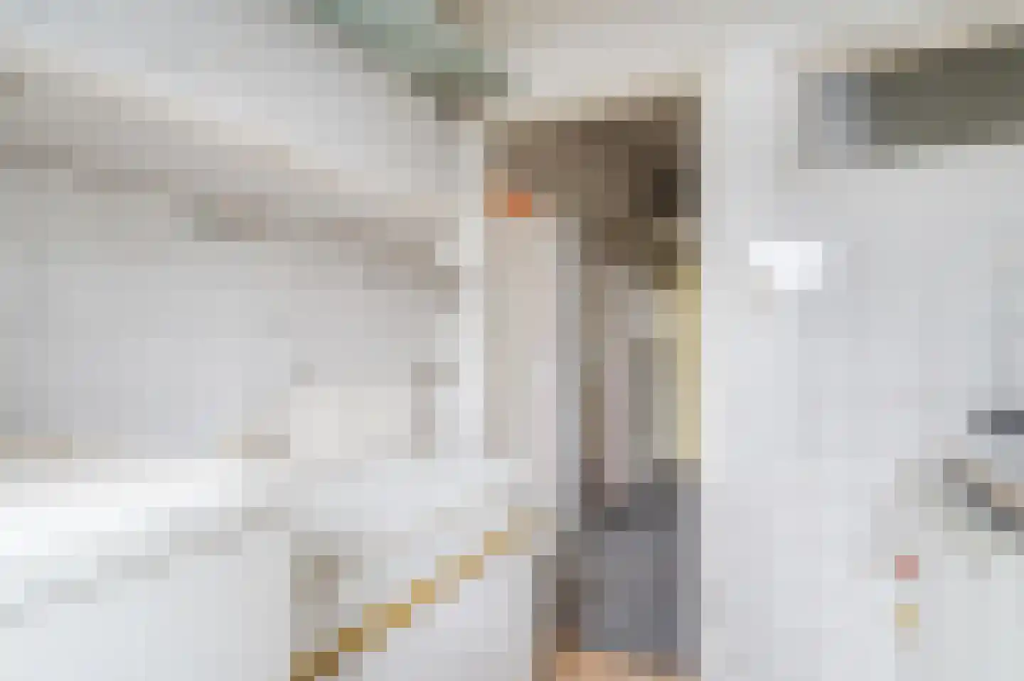 Wattlaan 15 BS Utrecht thumbnail 10