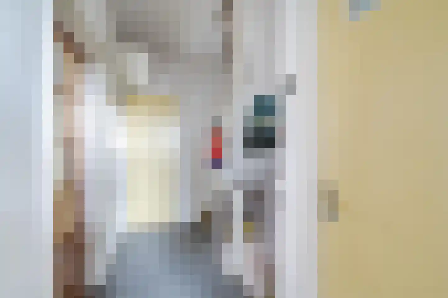 Wattlaan 15 BS Utrecht thumbnail 16