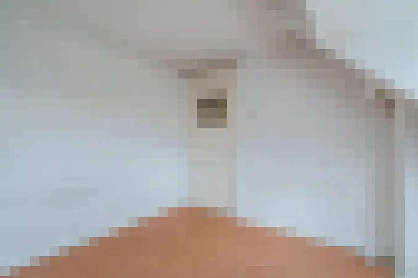 Wattlaan 15 BS Utrecht thumbnail 26