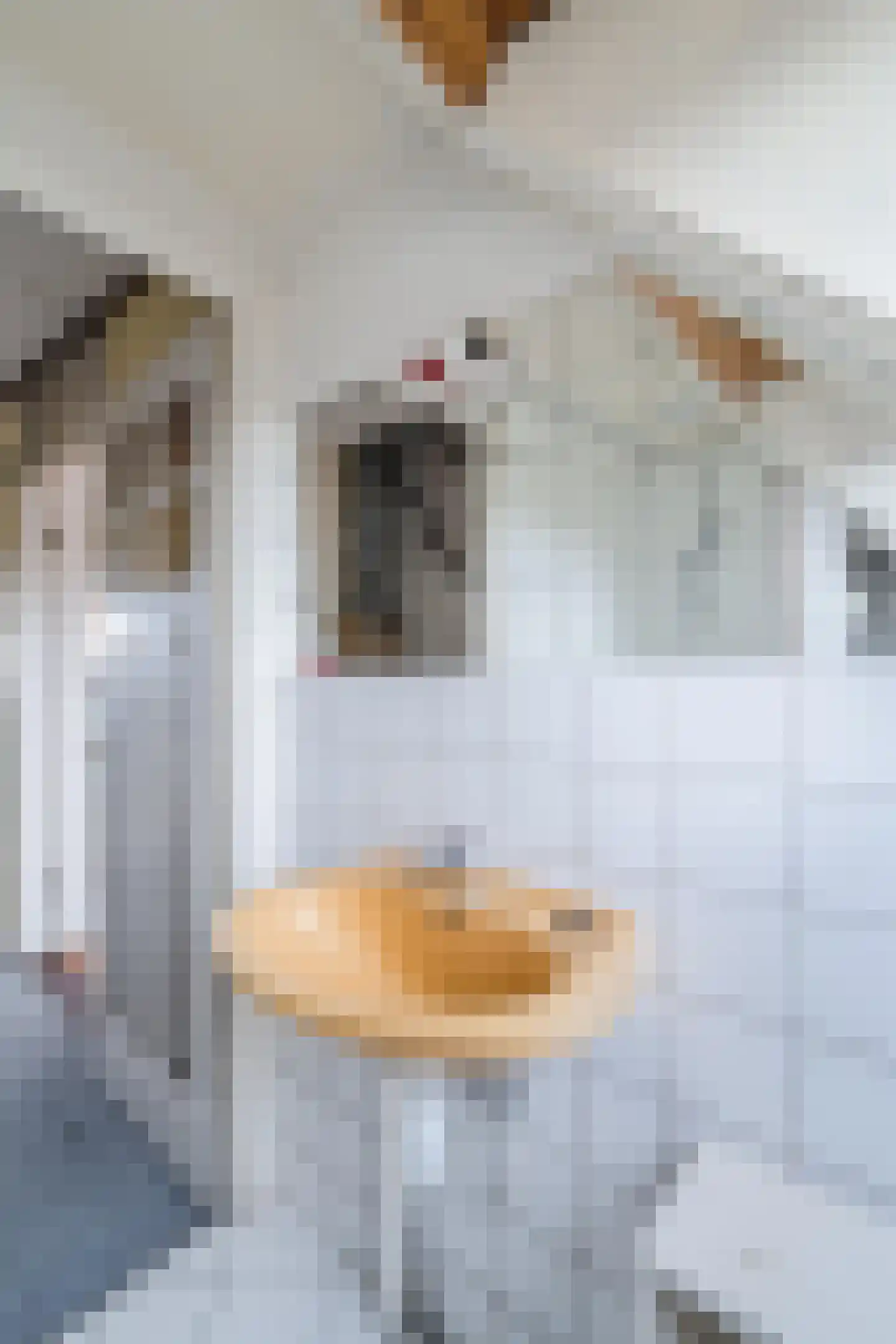 Wattlaan 15 BS Utrecht thumbnail 32