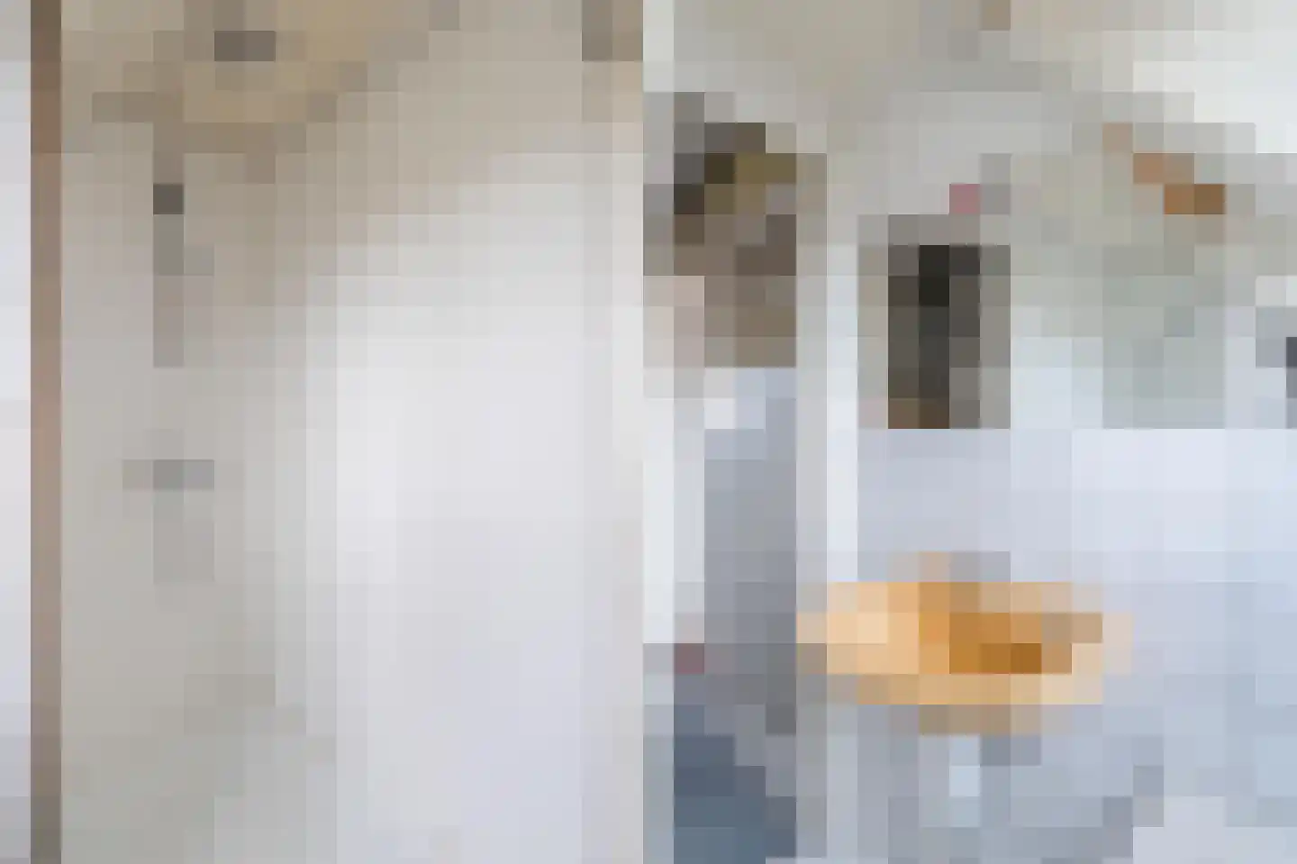 Wattlaan 15 BS Utrecht thumbnail 33