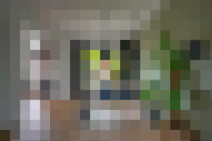 Wattlaan 15 Utrecht thumbnail 12