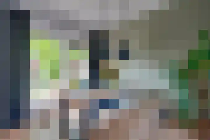 Wattlaan 15 Utrecht thumbnail 13