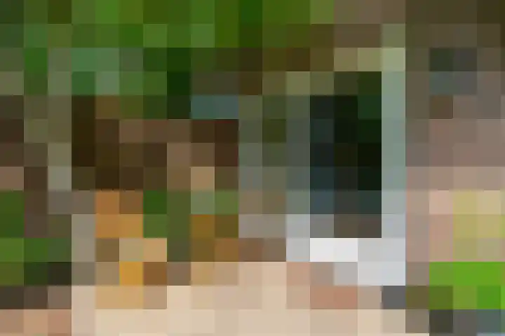 Wattlaan 15 Utrecht thumbnail 20