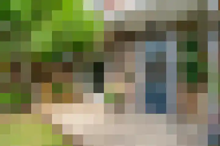 Wattlaan 15 Utrecht thumbnail 21