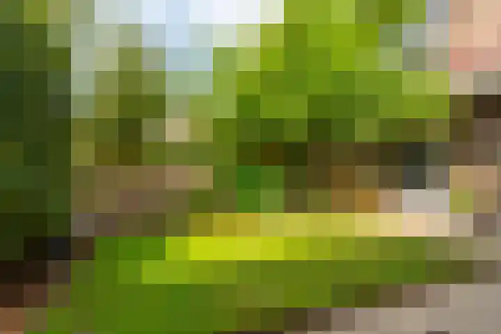 Wattlaan 15 Utrecht thumbnail 22