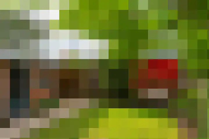 Wattlaan 15 Utrecht thumbnail 23