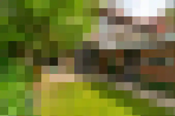 Wattlaan 15 Utrecht thumbnail 24