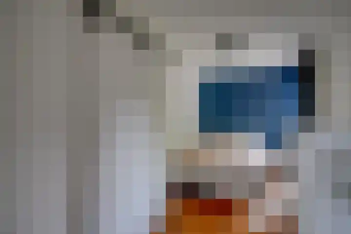 Wattlaan 15 Utrecht thumbnail 28