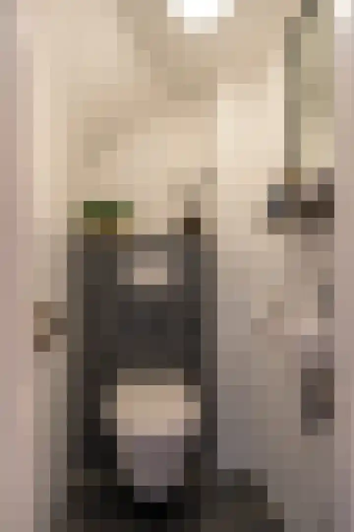 Wattlaan 15 Utrecht thumbnail 32