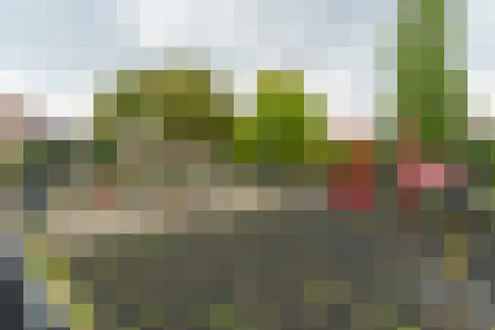 Wattlaan 15 Utrecht thumbnail 34