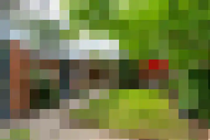 Wattlaan 15 Utrecht thumbnail 5