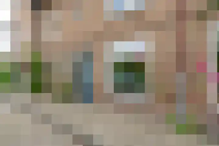 Wattlaan 15 Utrecht thumbnail 6