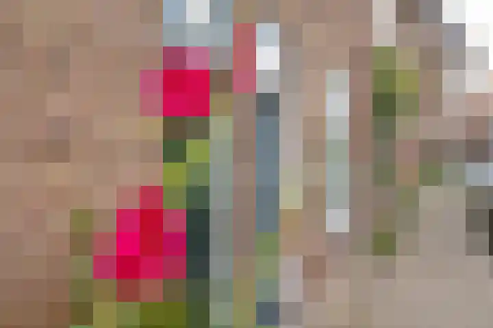 Wattlaan 15 Utrecht thumbnail 7