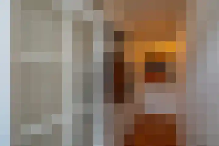 Wattlaan 15 Utrecht thumbnail 8