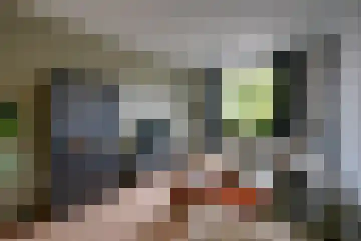 Wattlaan 15 Utrecht thumbnail 9