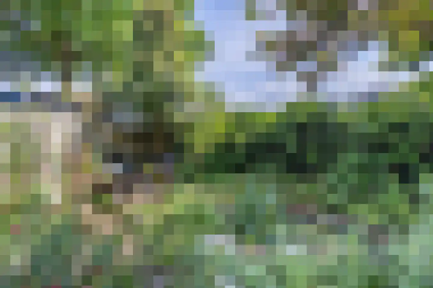 Wattlaan 7 Utrecht thumbnail 11