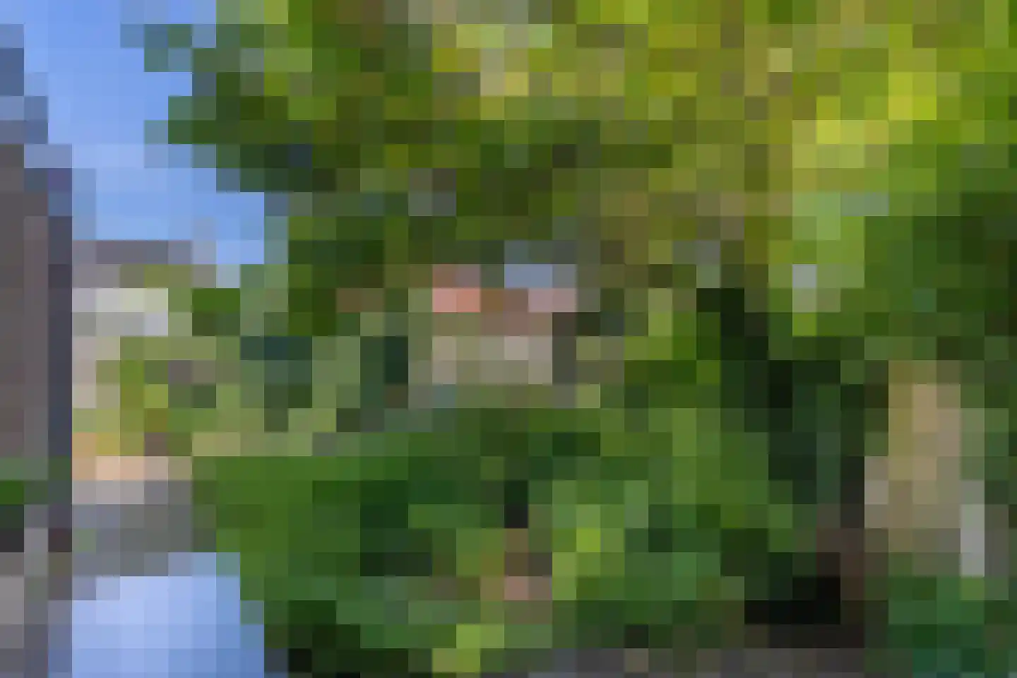 Wattlaan 7 Utrecht thumbnail 12
