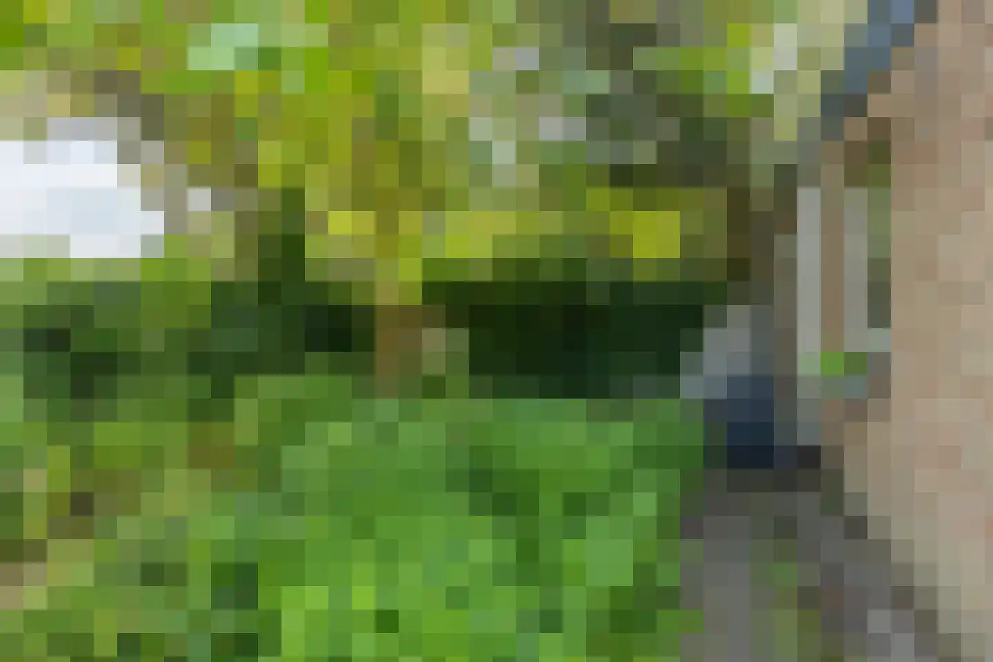 Wattlaan 7 Utrecht thumbnail 13